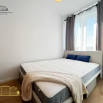 Rent 1 bedroom apartment in Kraków