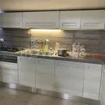 Rent 2 bedroom apartment of 60 m² in Roma