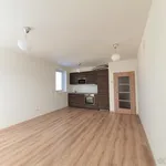 Rent 1 bedroom apartment in Mělník