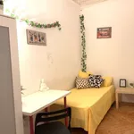 Habitación en madrid