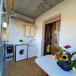 Rent 2 bedroom apartment of 40 m² in Cervia