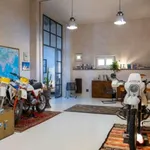 Rent 1 bedroom apartment in florence