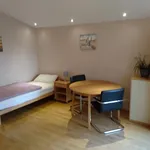 Miete 1 Schlafzimmer wohnung von 25 m² in Aachen