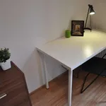 Rent a room in wroclaw