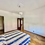 Rent 1 bedroom apartment of 65 m² in Torino