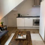 Huur 1 slaapkamer appartement van 36 m² in Roermond