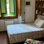 Rent 5 bedroom house of 213 m² in Prato