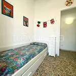 Rent 3 bedroom apartment of 60 m² in Pisa