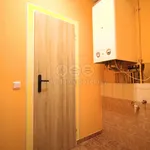 Rent 2 bedroom apartment of 60 m² in Kraslice