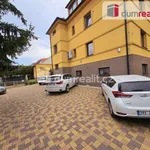 Rent 3 bedroom apartment of 115 m² in Prague