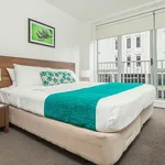 Rent 1 bedroom apartment in Auckland