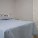 Rent 2 bedroom apartment in madrid