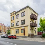 Rent 1 bedroom apartment of 45 m² in Dresden