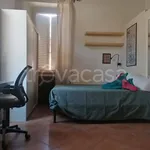 Rent 2 bedroom apartment of 40 m² in Roma