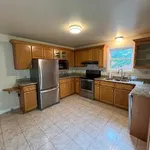 Rent 1 bedroom house in Kingston