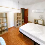 Rent 4 bedroom apartment in Valencia