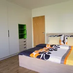 Pronajměte si 3 ložnic/e byt o rozloze 60 m² v Prague