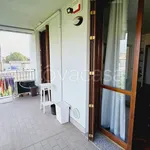 Rent 2 bedroom apartment of 50 m² in Milano