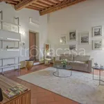 Rent 2 bedroom apartment of 50 m² in Firenze