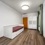 Pronajměte si 3 ložnic/e byt o rozloze 85 m² v Capital City of Prague