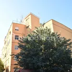 Rent 3 bedroom apartment of 80 m² in Rome