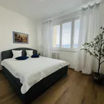 Rent 2 bedroom apartment in Frýdek - Místek