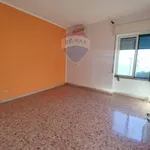 Rent 3 bedroom apartment of 70 m² in Pompei