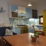 Rent 3 bedroom apartment of 70 m² in Olbia