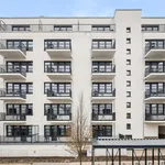 Rent 2 bedroom apartment of 38 m² in Berlin