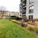 Rent 1 bedroom apartment of 42 m² in Berlin