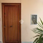 Rent 4 bedroom apartment of 89 m² in Palermo