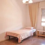 Rent a room in madrid