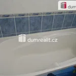 Rent 1 bedroom apartment in Zlín