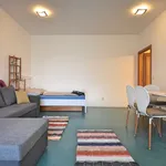 Pronajměte si 1 ložnic/e byt o rozloze 34 m² v Prague