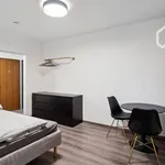 Miete 1 Schlafzimmer wohnung von 28 m² in Frankfurt