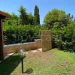 Rent 3 bedroom house of 80 m² in Carovigno