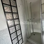 Rent 2 bedroom apartment of 110 m² in Turin