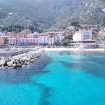 Rent 3 bedroom apartment of 60 m² in Isola del Giglio