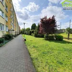 Rent 2 bedroom apartment of 39 m² in Grudziądz