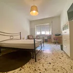 Rent 3 bedroom apartment of 77 m² in Roma