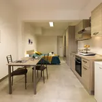 Rent a room in Bologna