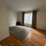 Rent 1 bedroom house in Kingston