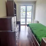 Rent 3 bedroom apartment of 70 m² in Tarnów