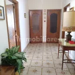 Rent 3 bedroom apartment of 80 m² in Turin