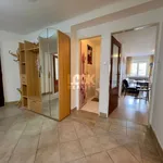 Rent 3 bedroom apartment of 80 m² in Prague