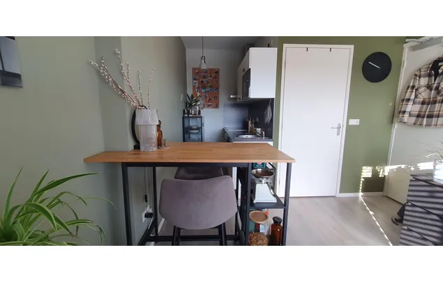 Huur 1 slaapkamer appartement van 21 m² in Enschede