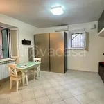 Rent 1 bedroom apartment of 23 m² in Roma