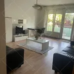 Rent 2 bedroom apartment of 85 m² in Budapest