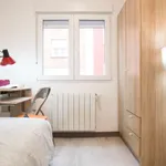 Rent a room in madrid