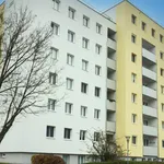 Rent 2 bedroom apartment of 62 m² in Wiener Neustadt